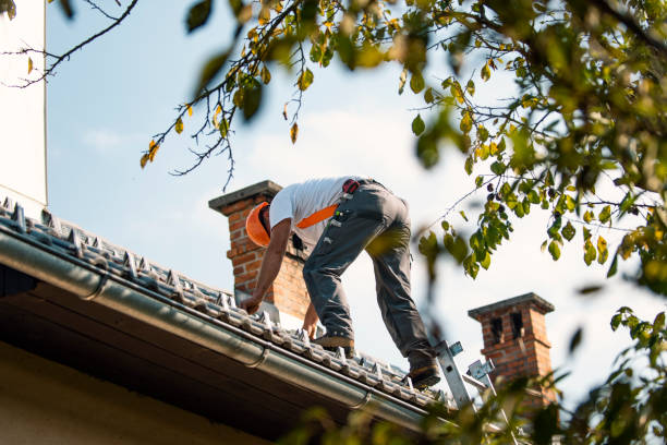 Best Gutter Installation and Roofing  in Groveland, FL